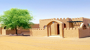 Arabian Oryx Camp